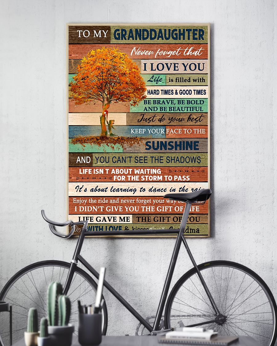 To Granddaughter From Grandma Horizontal Poster